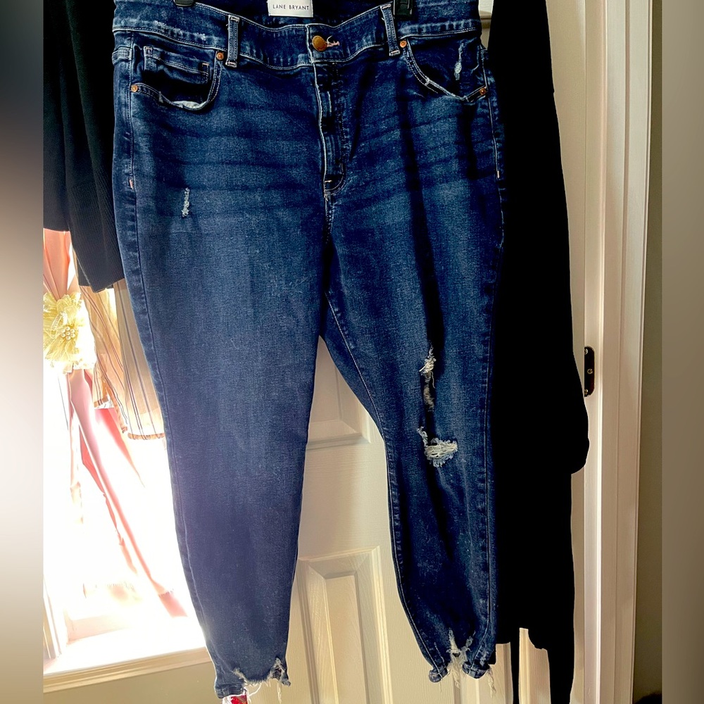 Lane bryant jeans